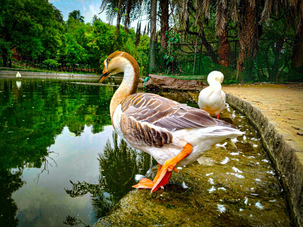Photograph by CHHATRA NITWAL