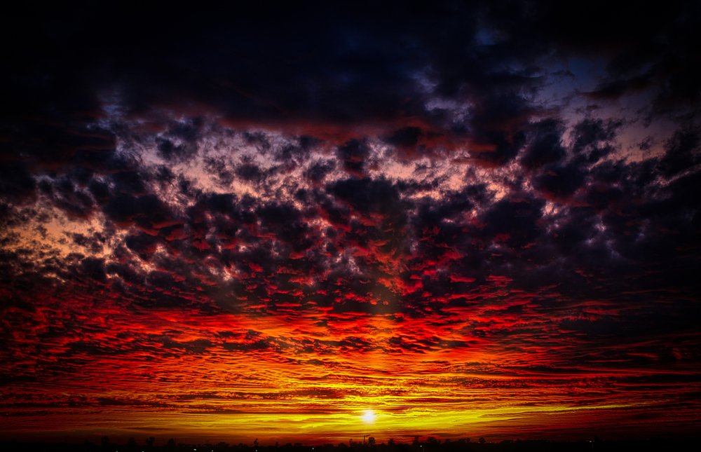 Photograph by Alfredo Fresán