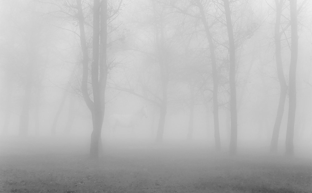 Как она там в тумане...