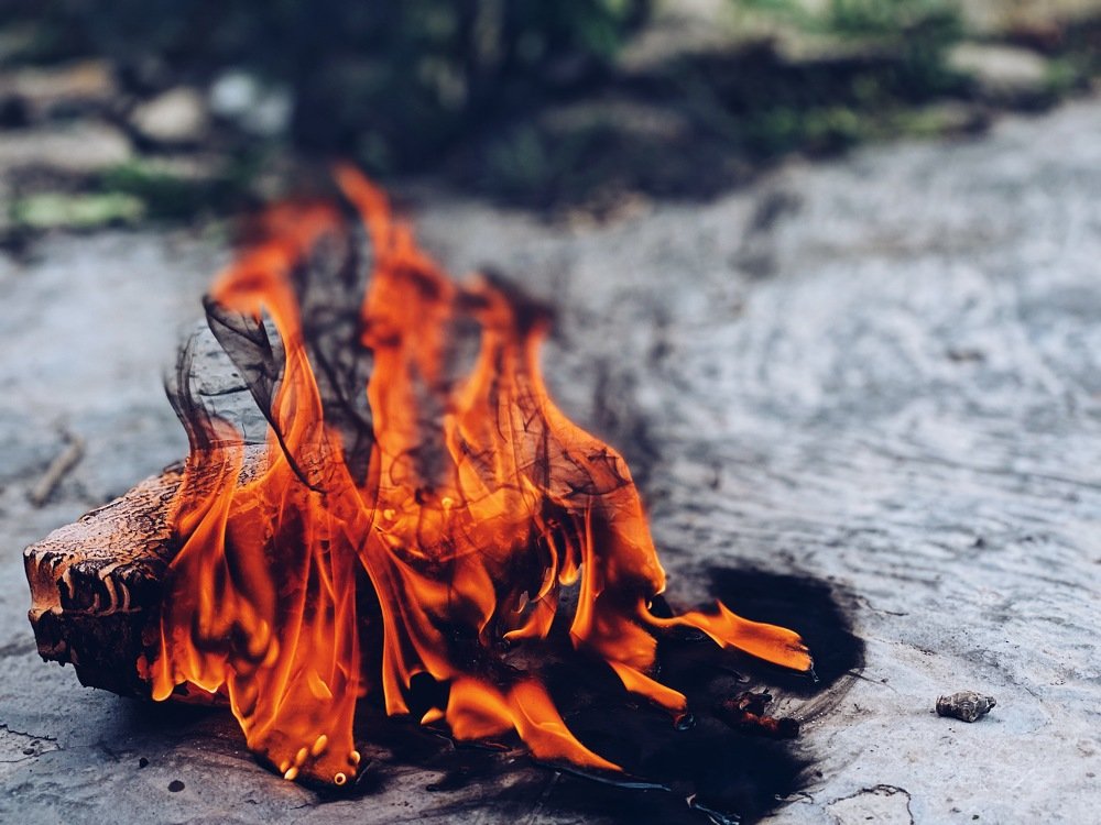 Photograph by Ольга Петухова