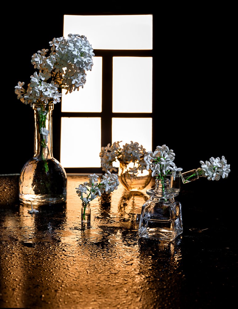 Photograph by Полина Беляева