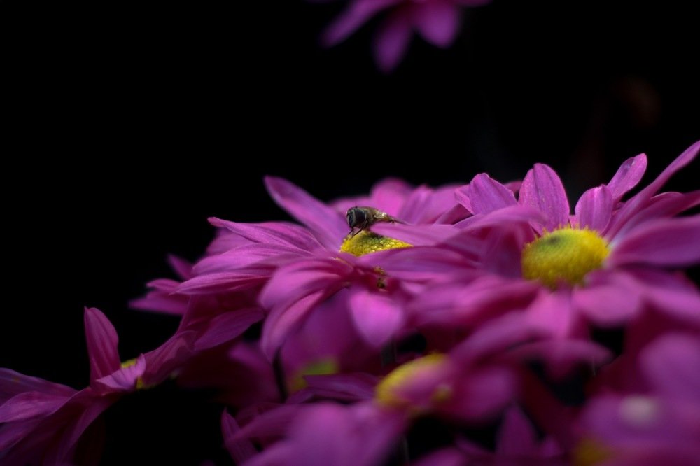 Photograph by Софья Гринченко