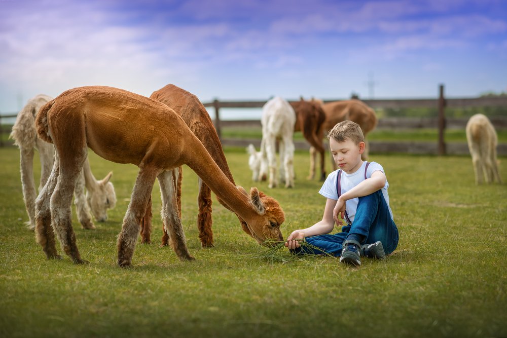 Photograph by Gołębiewska