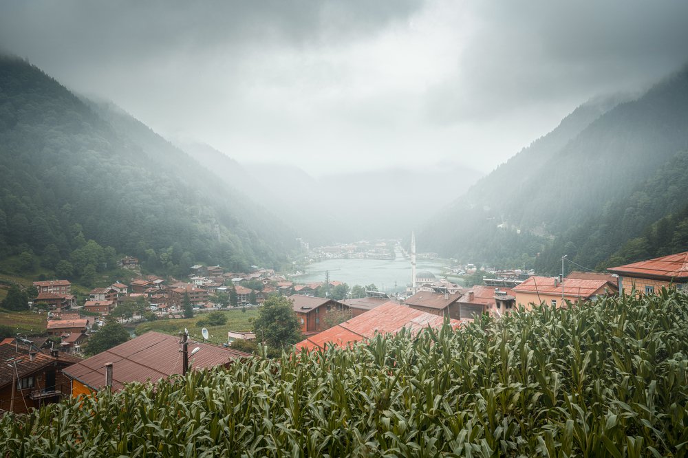 Photograph by Hamzah Alwehaimed