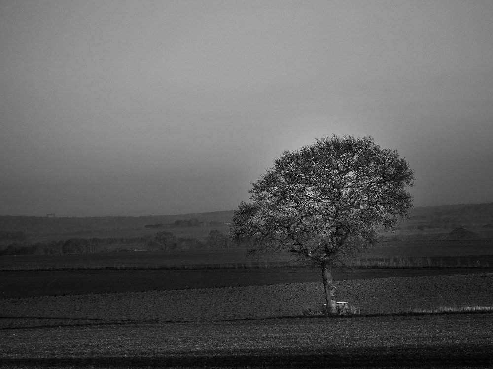 Photograph by TWIGGY ROMMEL