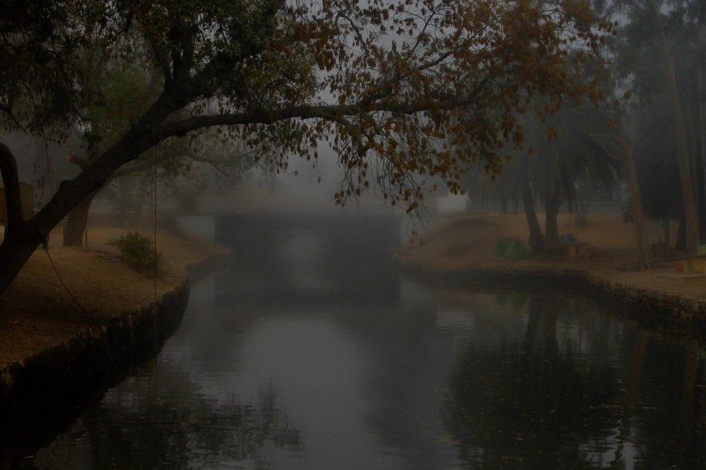 Photograph by Francisco Ferreira