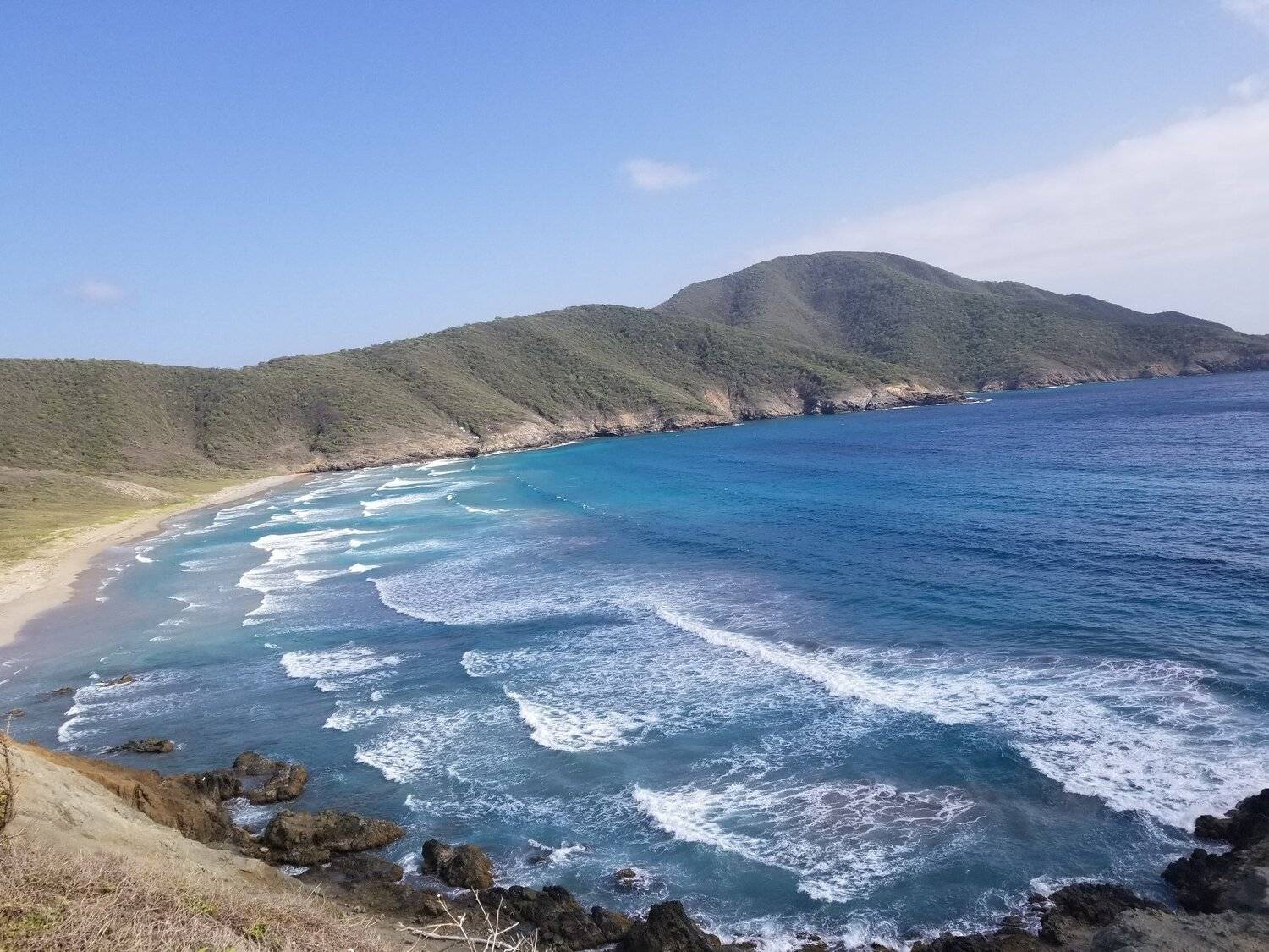 7 Olas