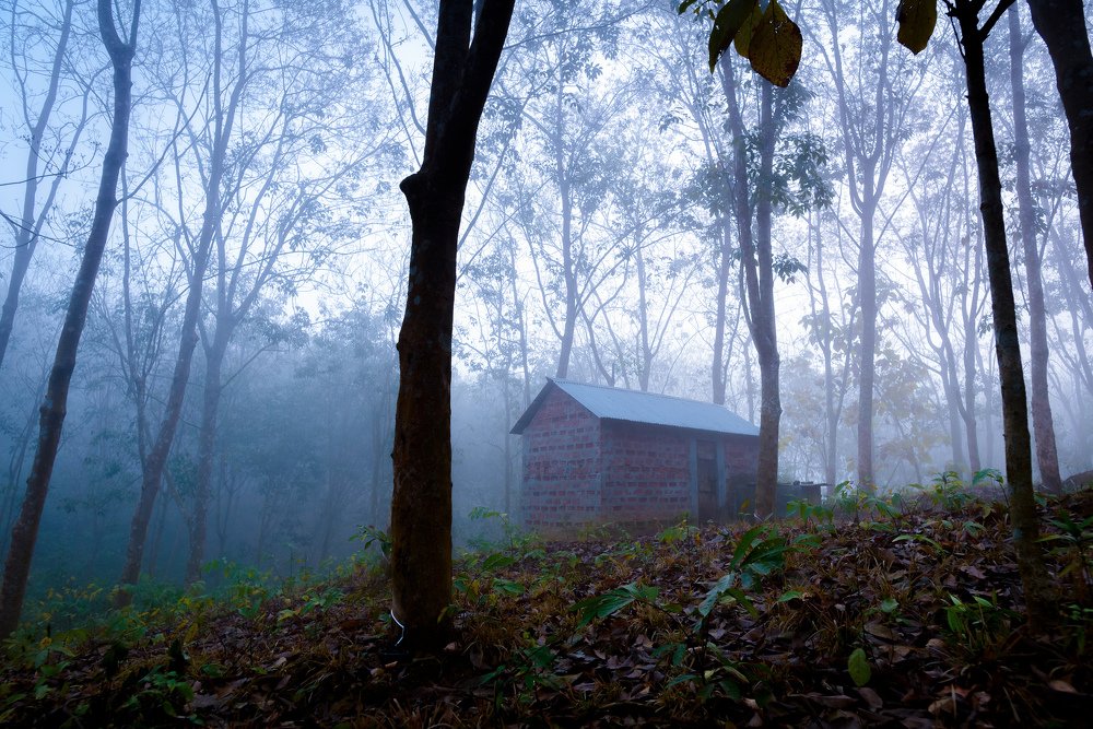 Photograph by Shakti brata Bhattacharjee