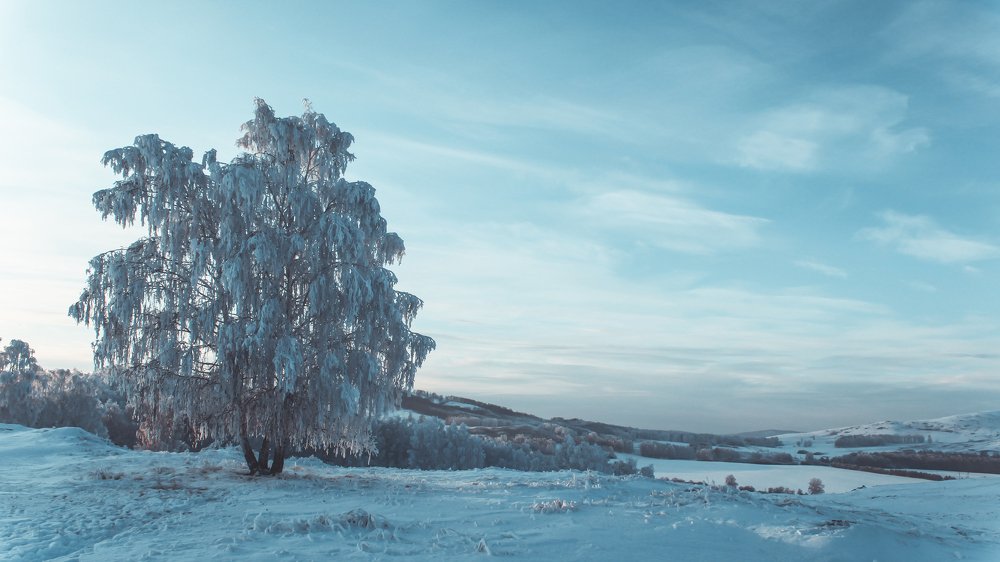 Photograph by Владислав Переродин