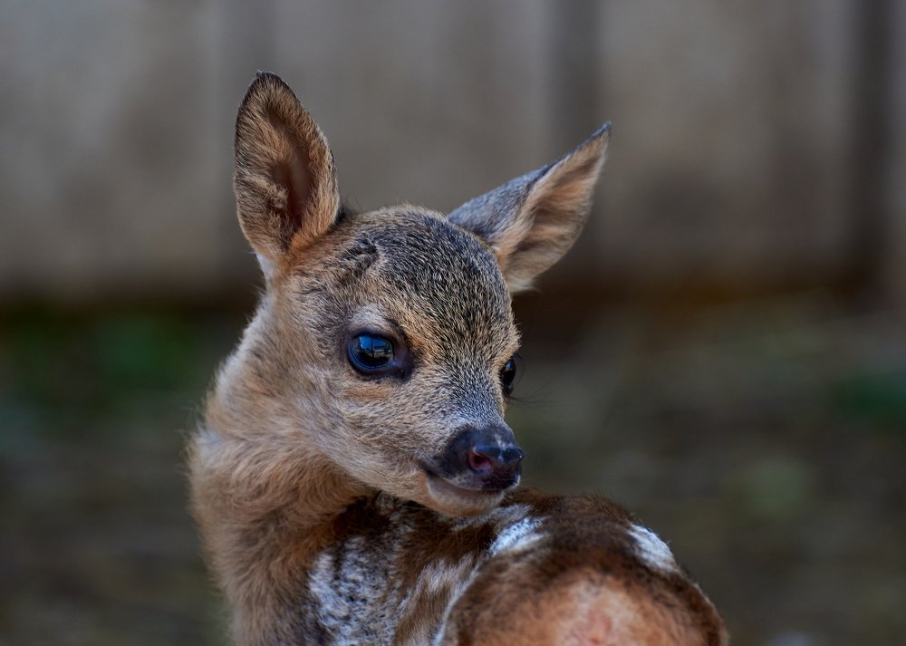 Photograph by Наталья Богач