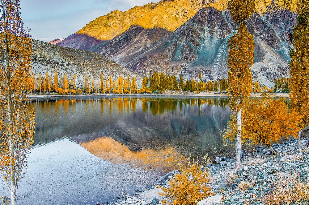 Фотография автора Fawad Hashmi