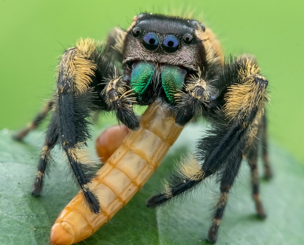 Enjoying my precious food