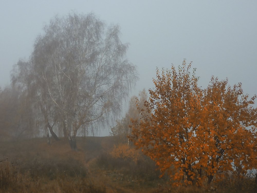 Photograph by Ирина Александрович