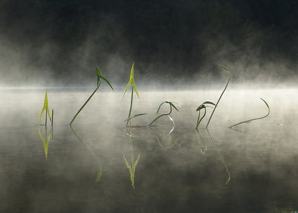 Photograph by Светлана Борозенцева