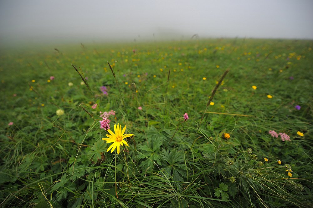 Photograph by Леонид