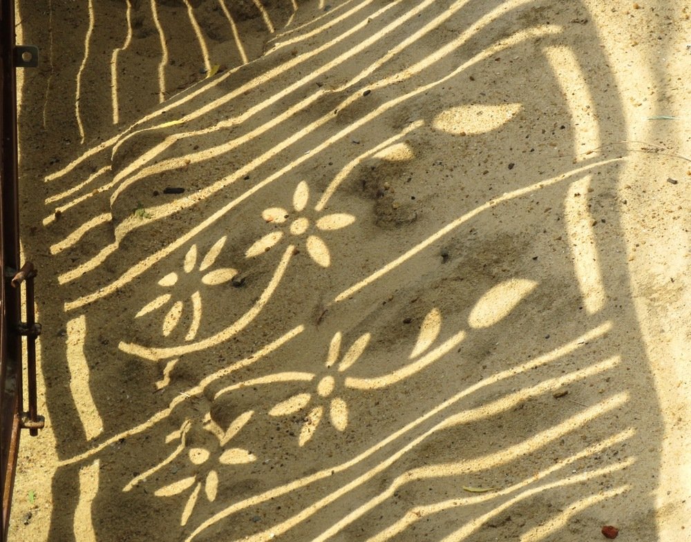 Photograph by suparna ghosh