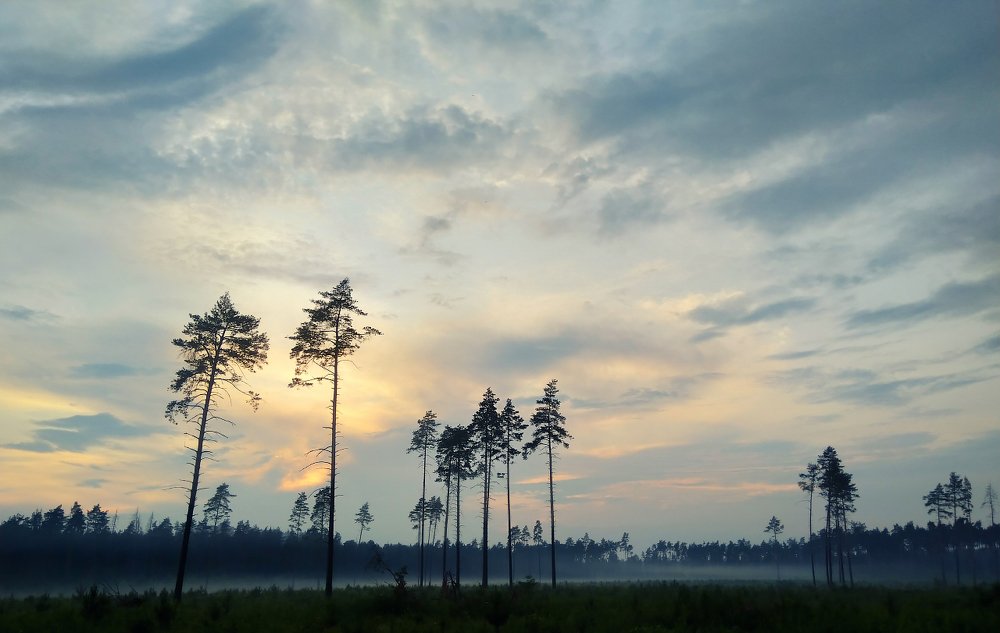 Photo #4638159