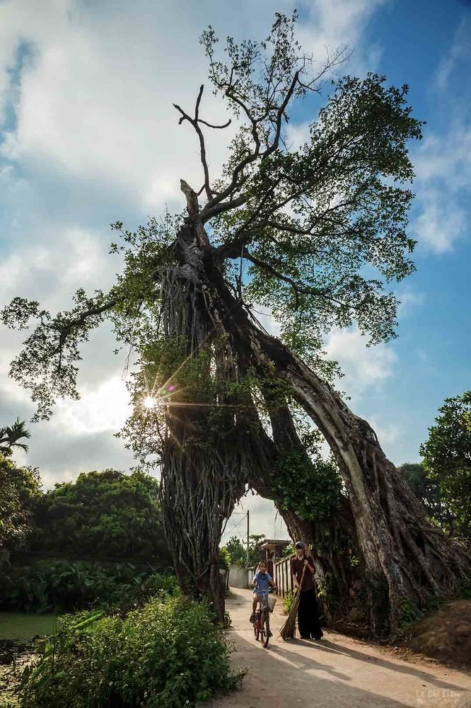 Photograph by LÊ CHÍ LIÊM