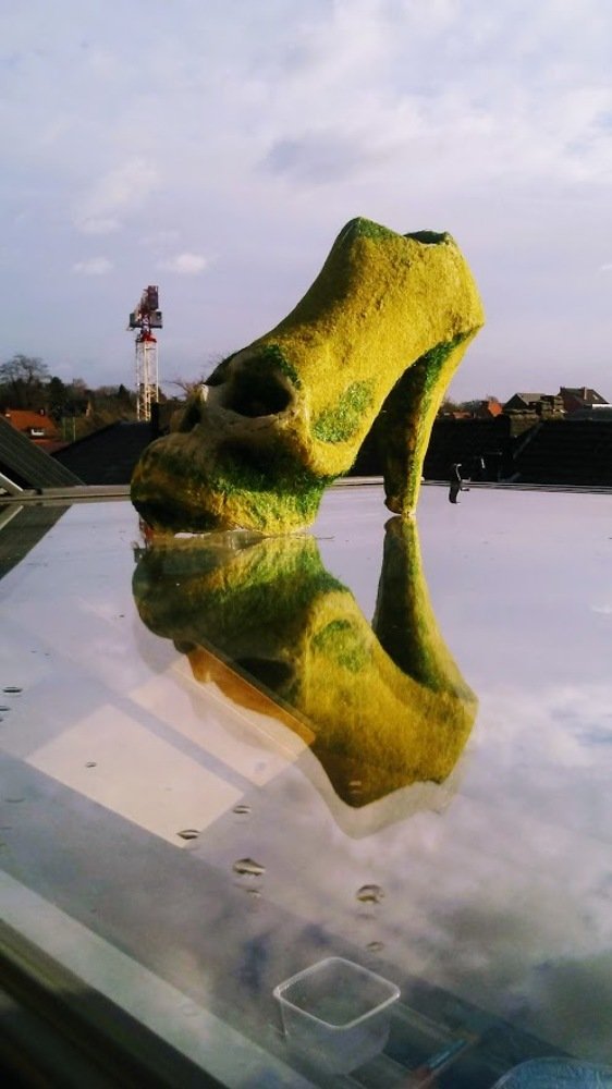 Фотография автора Valentin Claes