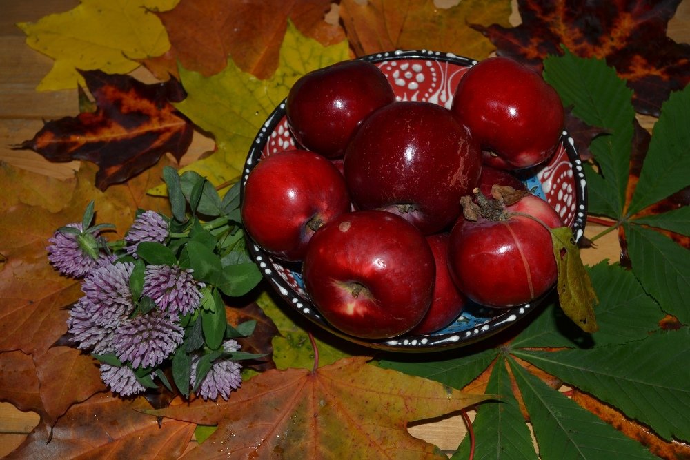 Photograph by александр фетисов