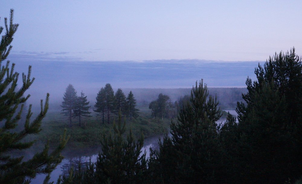 Сиреневый  туман ...