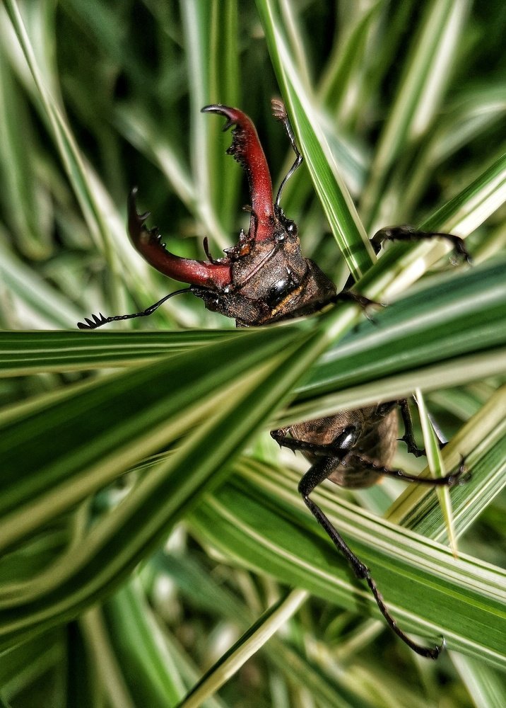 Photograph by Ольга Мажарук