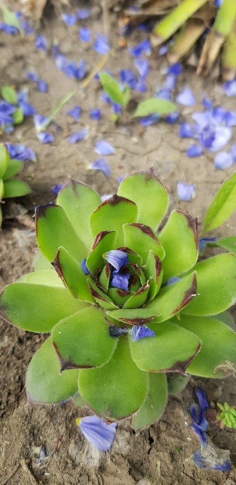 Фотография автора Ольга Мусина