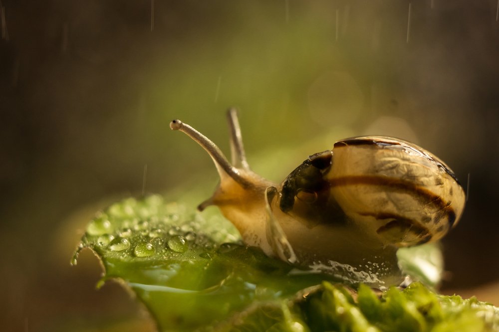 Photograph by Анна Молько