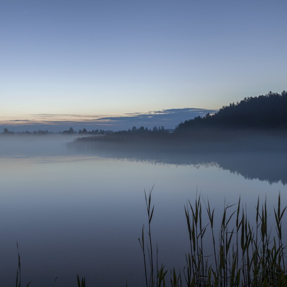 Photograph by Сергей