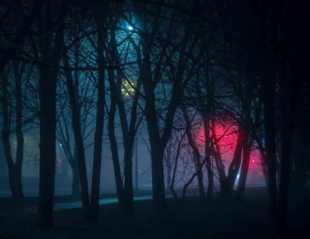 Photograph by Ольга Линк