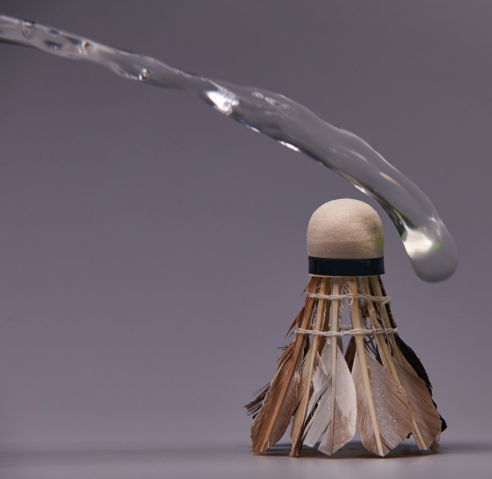 Water Fly over Shuttlecock