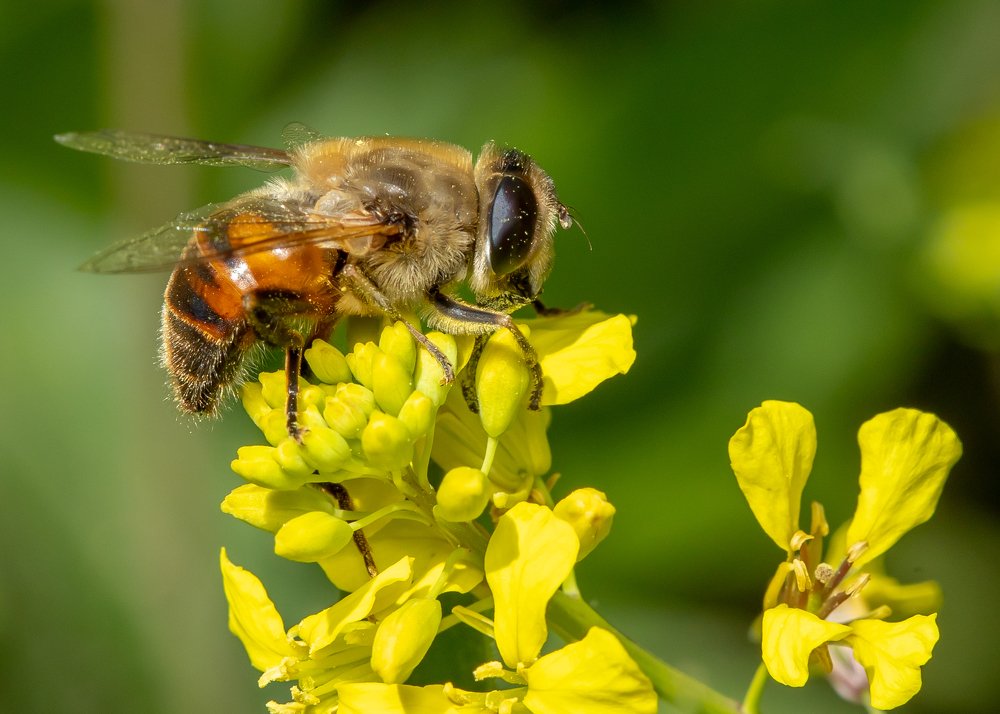 Фотография автора Vasileios Karapanagiotidis