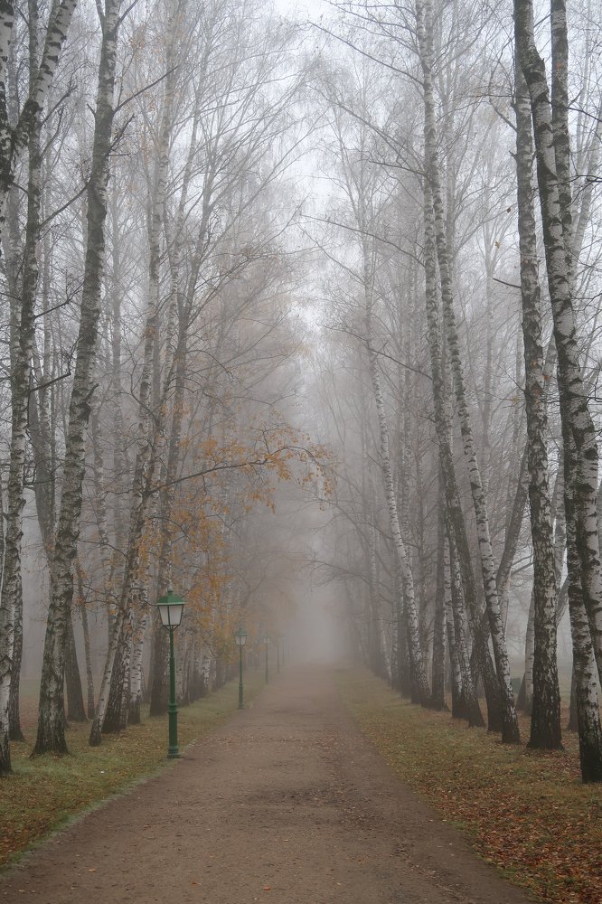 Photograph by Ирина Моругина