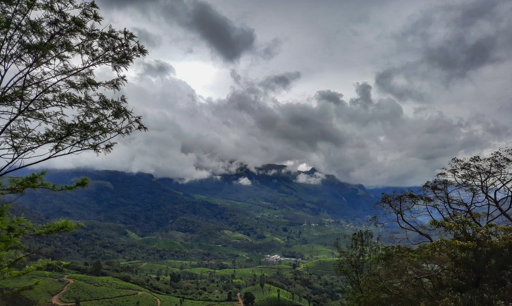 Photograph by PRABANJAN KARUPPUSAMY