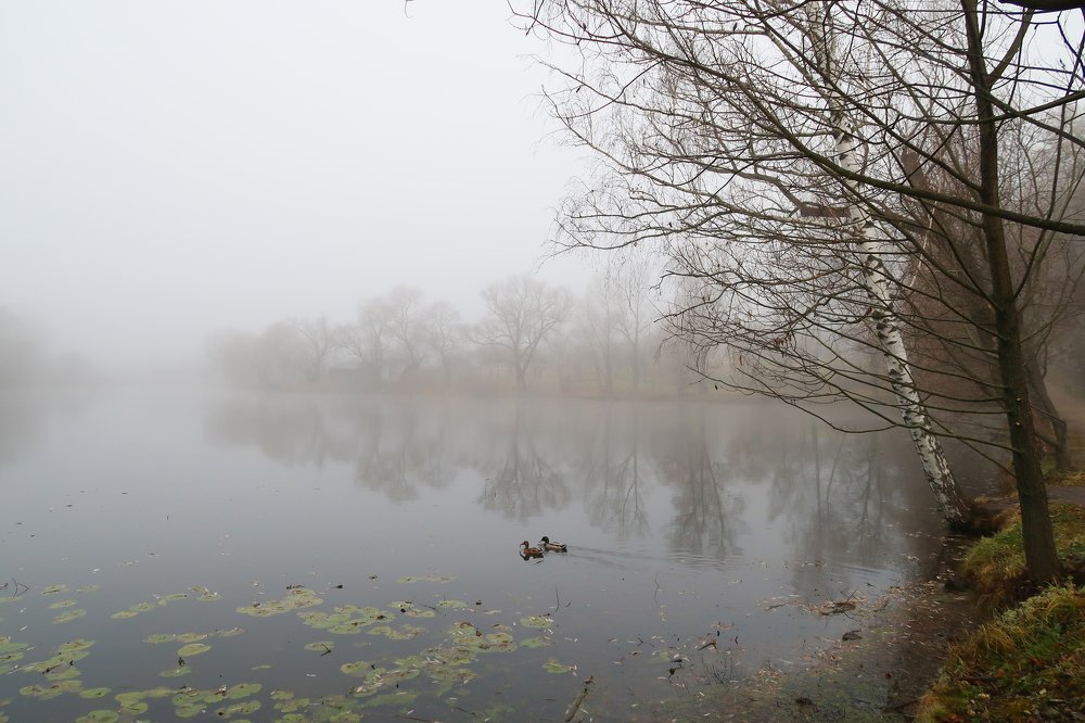 Photograph by Ирина Моругина
