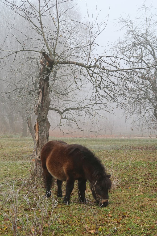 Photograph by Ирина Моругина