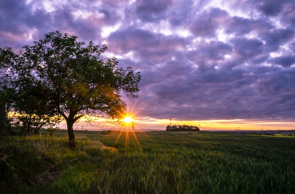 Photograph by Juraj Šulek