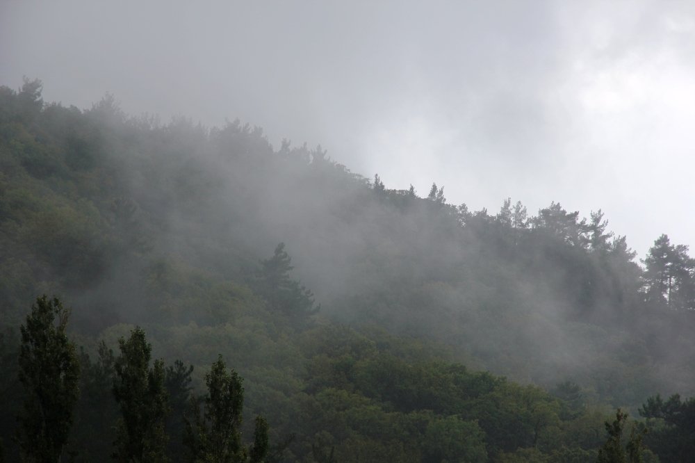 Photograph by Александр Бугаенко