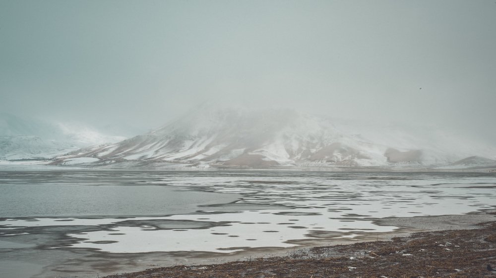 Photograph by Reza Mohammadi