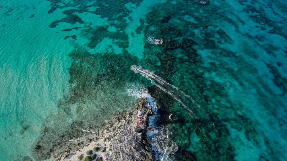 Photograph by Cléber Vinicius Demori