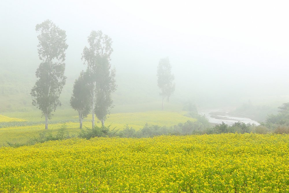 Photograph by HARIBABU BEERELLI