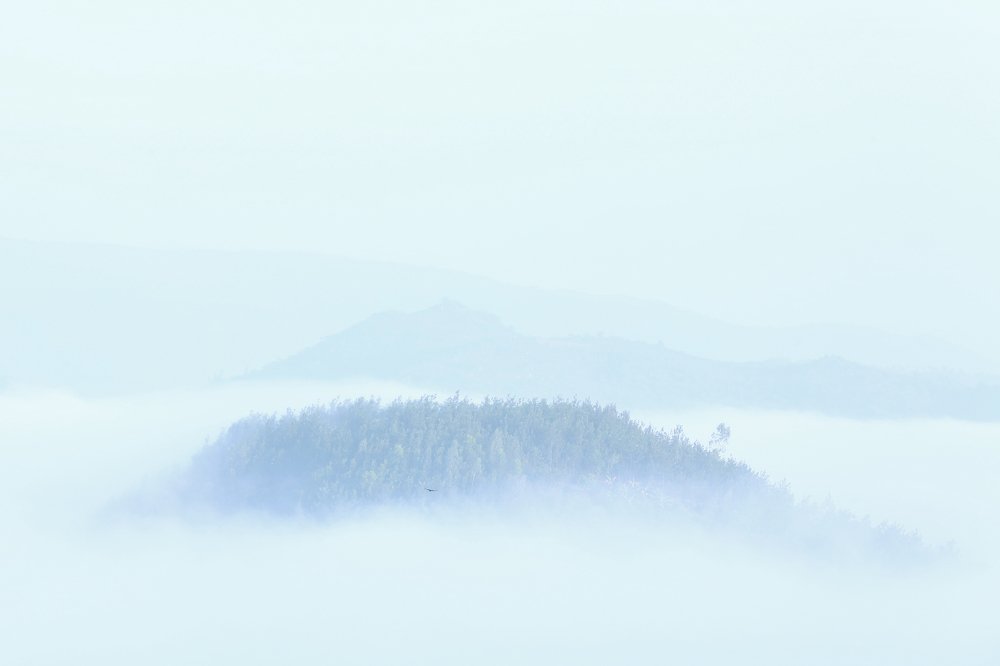 Photograph by HARIBABU BEERELLI