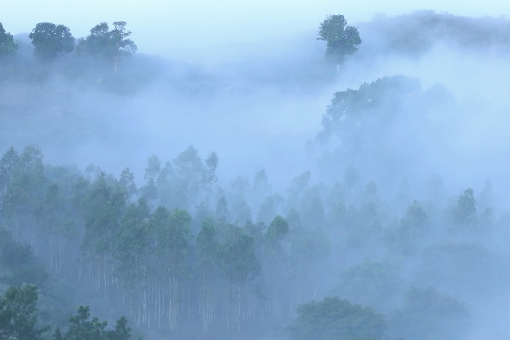 Photograph by HARIBABU BEERELLI