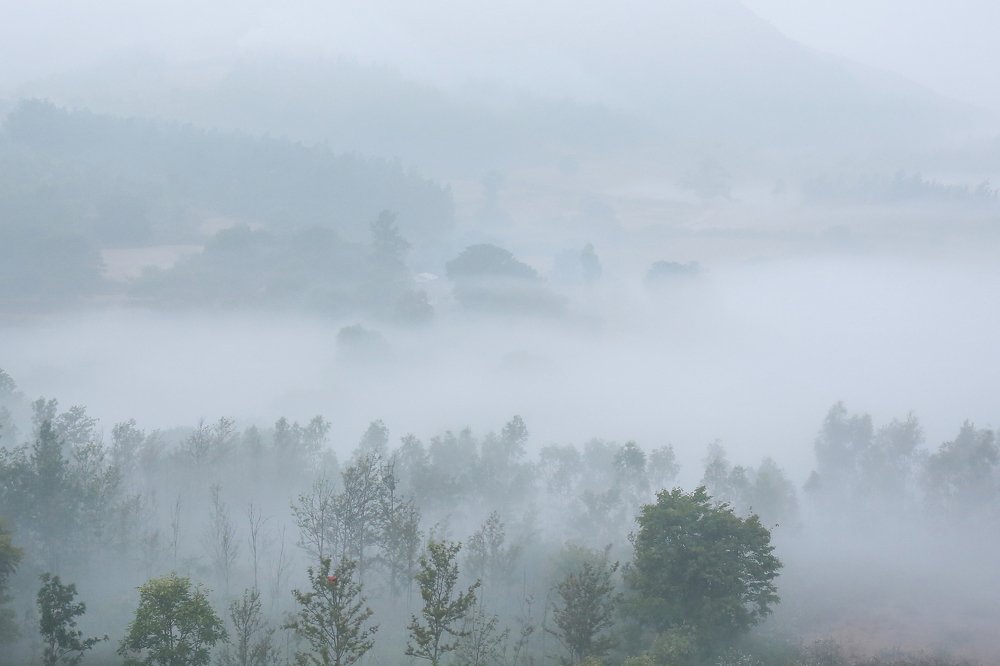 Photograph by HARIBABU BEERELLI