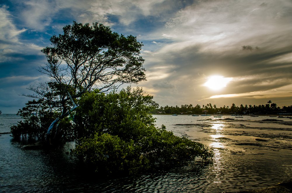 Photograph by Peterson Azevedo