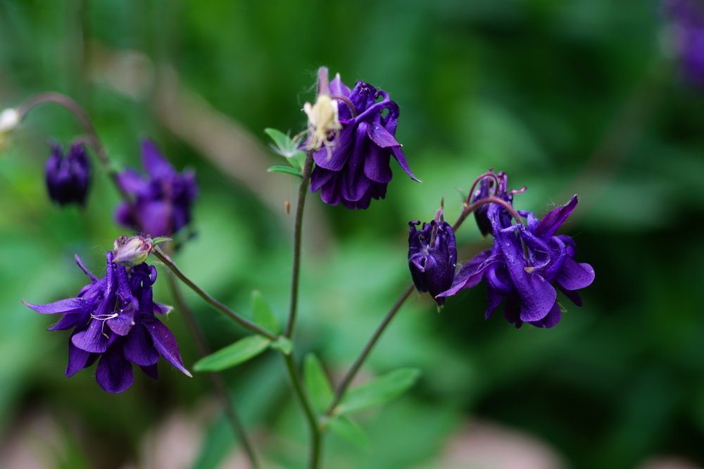 Photograph by Александр Кизим