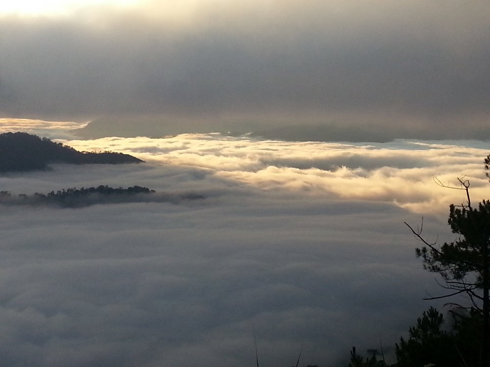 Photo #4639136
