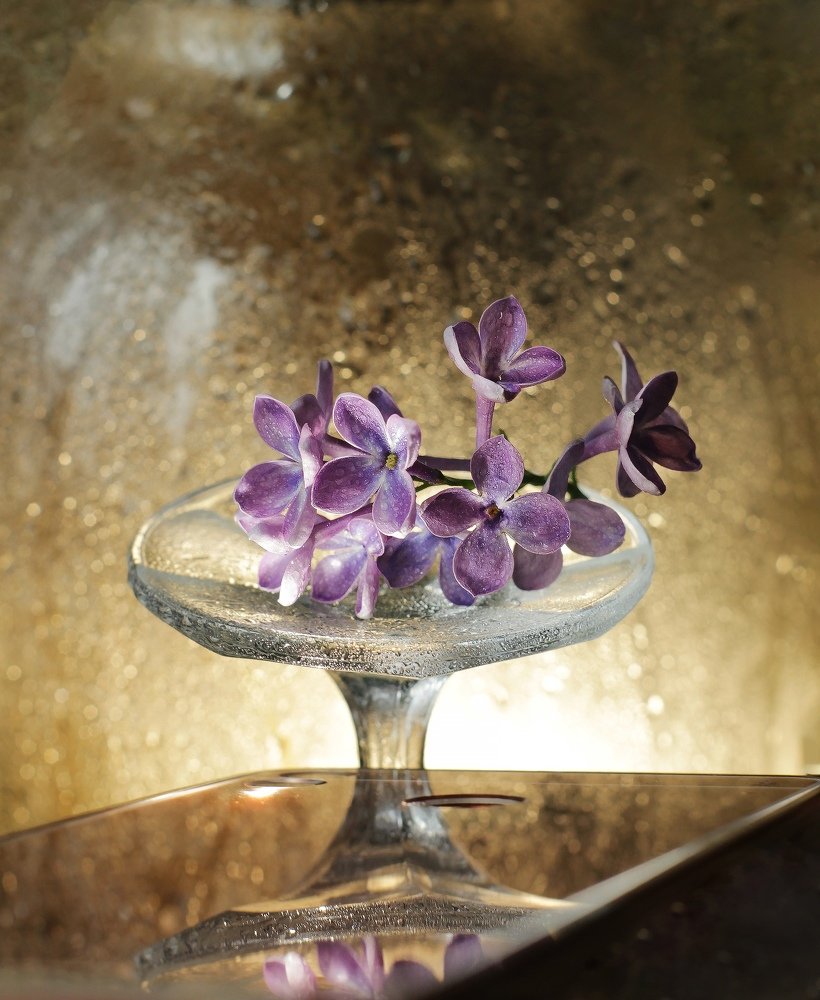 Photograph by Александра Пургаева