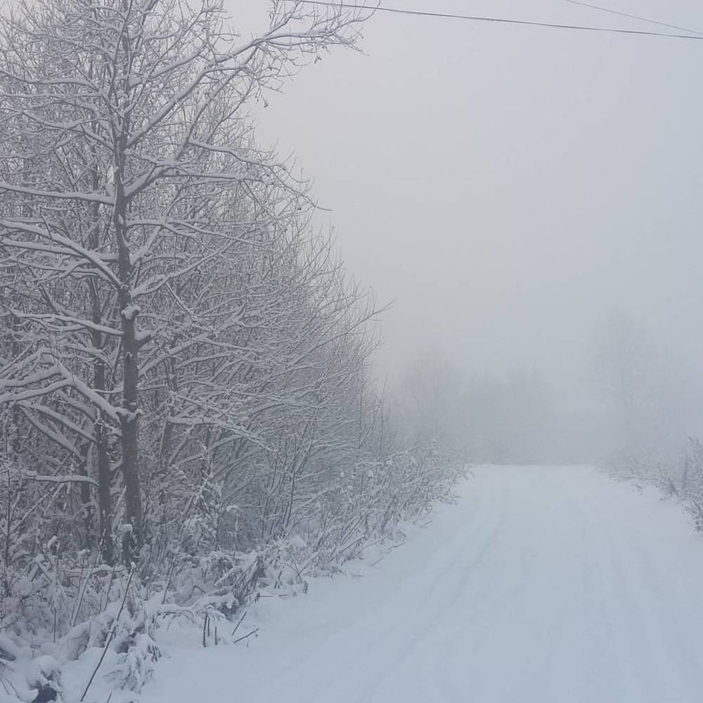 Photograph by Елена Верховская