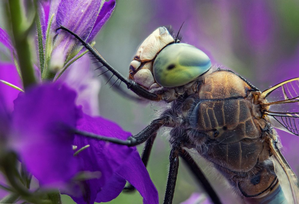 Photograph by Александр Иванов